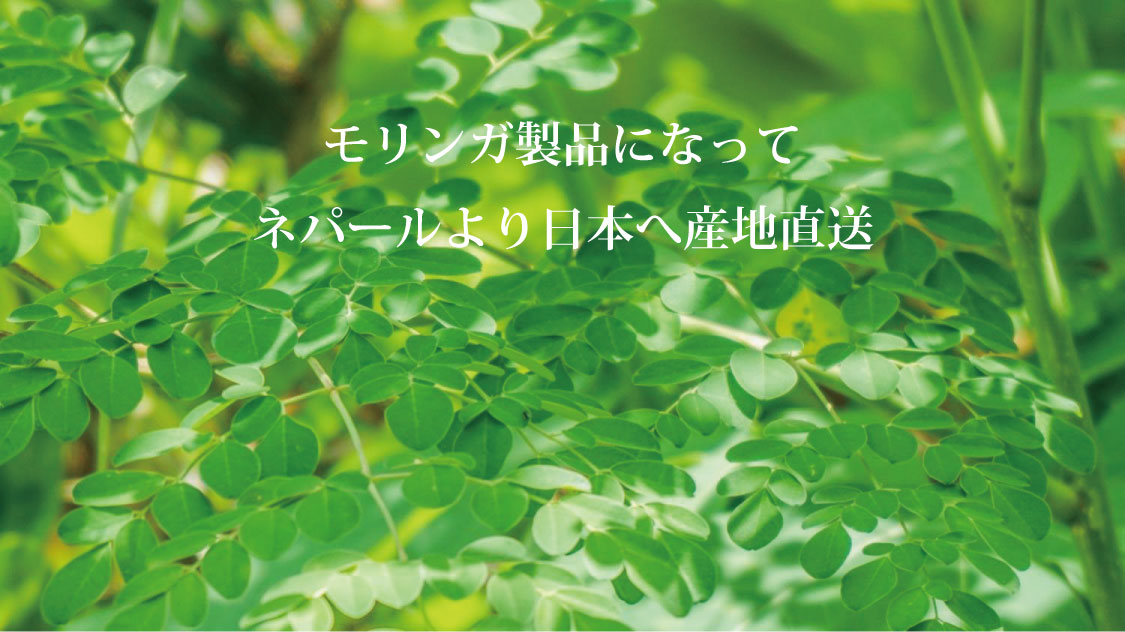 日本へ産地直送"