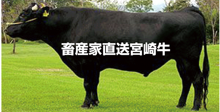 宮崎牛"