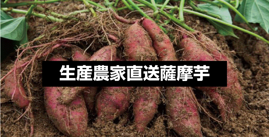 さつまいも