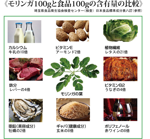 モリンガ効能