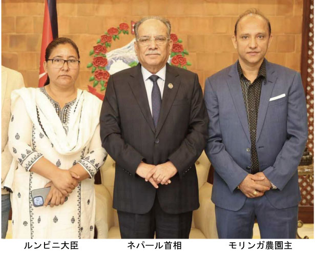 首相、大臣、農園主